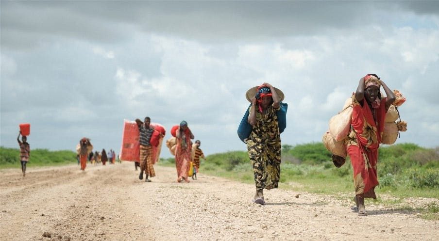 Internally Displaced Personnel (IDP) Scholarship